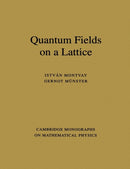 Quantum Fields on a Lattice