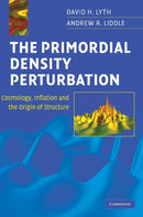 The Primordial Density Perturbation