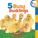 5 Busy Ducklings (Rookie Toddler)
