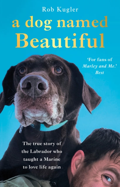 A Dog Named Beautiful : The true story of the Labrador who taught a Marine to love life again-9780552174770