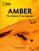 Amber : The Natural Time Capsule-9780565092580