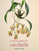 Extraordinary Orchids-9780565095147