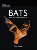 Bats