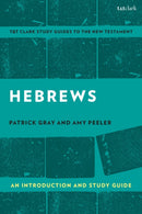 Hebrews: An Introduction and Study Guide-9780567674753