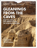 Gleanings from the Caves : Dead Sea Scrolls and Artefacts from the Schoyen Collection-9780567685872