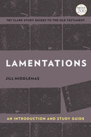 Lamentations : An Introduction and Study Guide-9780567696915
