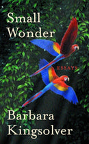 Small Wonder : Author of Demon Copperhead, Winner of the Women's Prize for Fiction-9780571215775