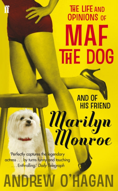 The Life and Opinions of Maf the Dog, and of his friend Marilyn Monroe-9780571216000
