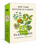 New York Botanical Garden Herb Identification Flashcards : 100 Common Herbs of North America-9780593796467