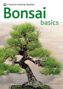 Bonsai Basics - A Comprehensive Guide to Care and Cultivation