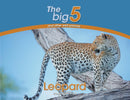 Leopard : The Big 5 and other wild animals-9780639300047