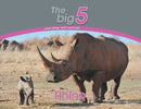 Rhino : The Big 5 and other wild animals-9780639300061