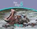 Hippo : The Big 5 and other wild animals-9780639300078