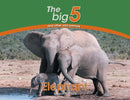 Elephant : The Big 5 and other wild animals-9780639300108