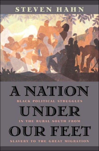 A Nation under Our Feet : Black Political Struggles in the Rural South from Slavery to the Great Migration-9780674017658