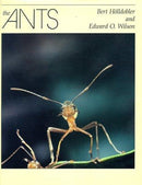 The Ants-9780674040755
