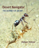 Desert Navigator : The Journey of an Ant-9780674045880