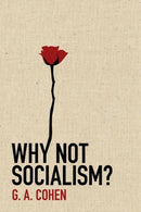 Why Not Socialism?-9780691143613