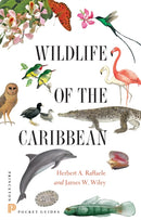 Wildlife of the Caribbean-9780691153827