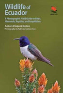 Wildlife of Ecuador : A Photographic Field Guide to Birds, Mammals, Reptiles, and Amphibians-9780691161365