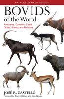 Bovids of the World : Antelopes, Gazelles, Cattle, Goats, Sheep, and Relatives-9780691167176