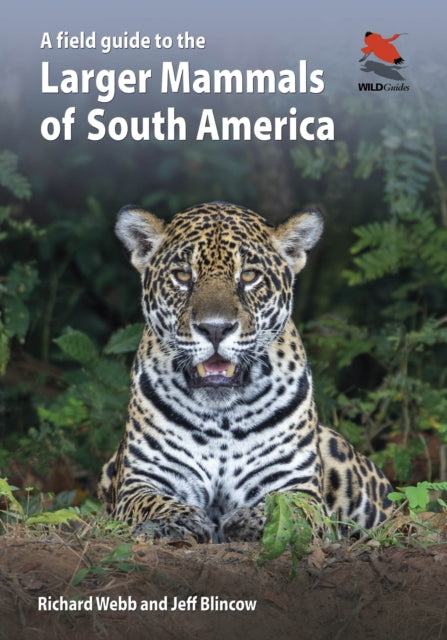 A Field Guide to the Larger Mammals of South America-9780691174099
