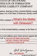 What's the Matter with Delaware? : How the First State Has Favored the Rich, Powerful, and Criminal-and How It Costs Us All-9780691180007
