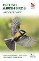 British and Irish Birds – A Pocket Guide