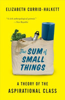 The Sum of Small Things : A Theory of the Aspirational Class-9780691183176