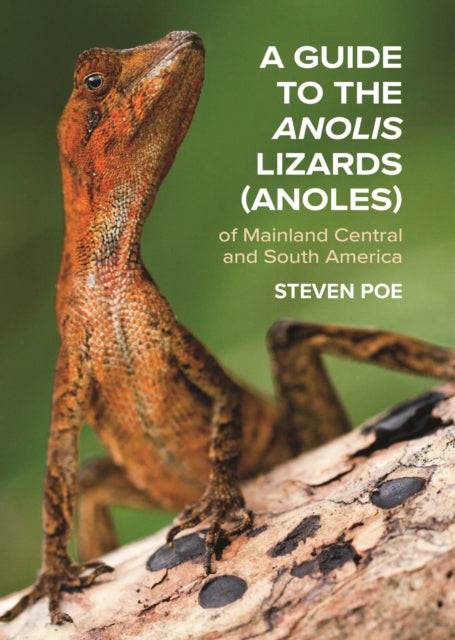 A Guide to the Anolis Lizards (Anoles) of Mainland Central and South America-9780691192871