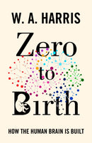 Zero to Birth – How the Human Brain Is Built