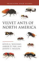 Velvet Ants of North America-9780691212043