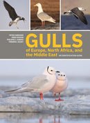 Gulls of Europe, North Africa, and the Middle East  – An Identification Guide