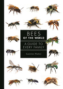 Bees of the World – A Guide to Every Family