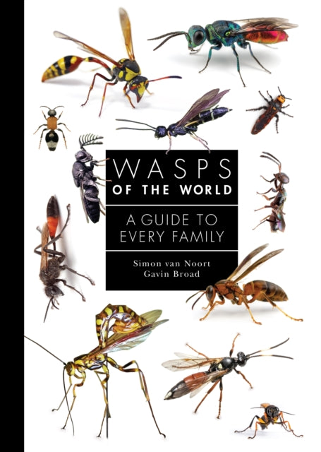 Wasps of the World – A Guide to Every Family