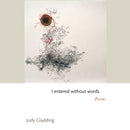 I entered without words : Poems-9780691238968