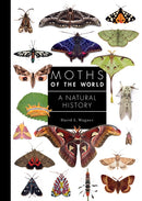 Moths of the World : A Natural History-9780691248288