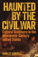 Haunted by the Civil War : Cultural Testimony in the Nineteenth-Century United States-9780691248578