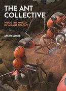 The Ant Collective : Inside the World of an Ant Colony-9780691255927