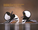 Bird Photographer of the Year – Collection 9