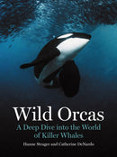 Wild Orcas – A Deep Dive into the World of Killer Whales