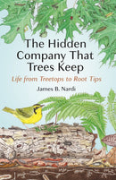 The Hidden Company That Trees Keep – Life from Treetops to Root Tips