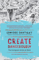Create Dangerously : The Immigrant Artist at Work-9780691278087