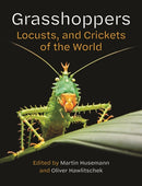Grasshoppers, Locusts, and Crickets of the World-9780691281056