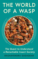 The World of a Wasp