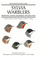 Sylvia Warblers : Identification, taxonomy and phylogeny of the genus Sylvia-9780713639841