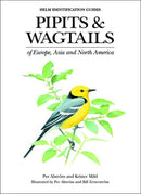 Pipits and Wagtails of Europe, Asia and North America-9780713658347