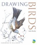 Drawing Birds-9780713668162