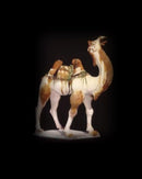 Silk Roads-9780714124971