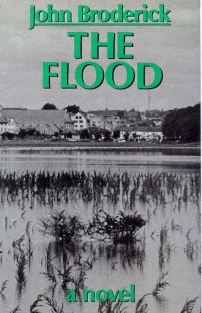 The Flood-9780714528670